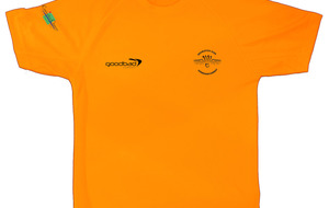 T-Shirt B3C