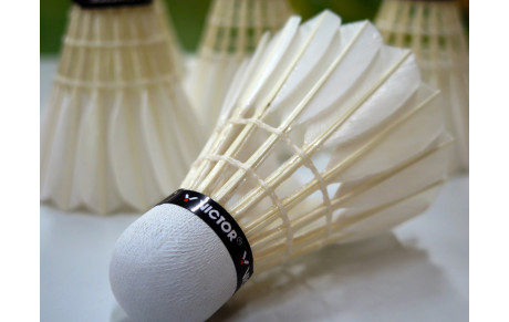Equipe interclub Séniors